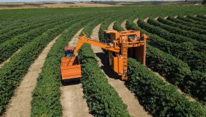 sistemas de producción agrícola