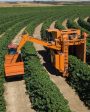 sistemas de producción agrícola